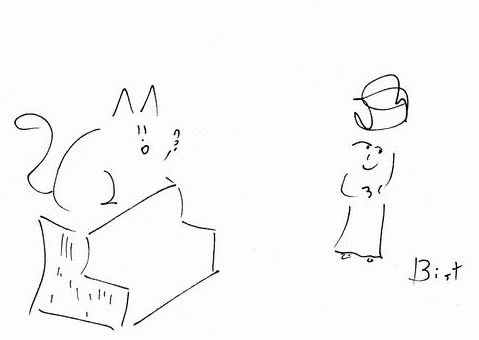 Cat philosophy