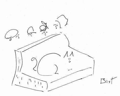 Cat plans to create trouble